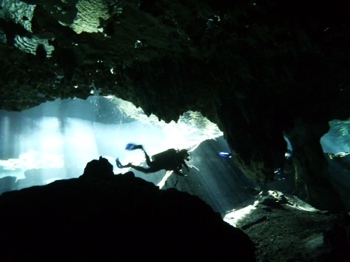 Cenote Diving at Gran Cenote