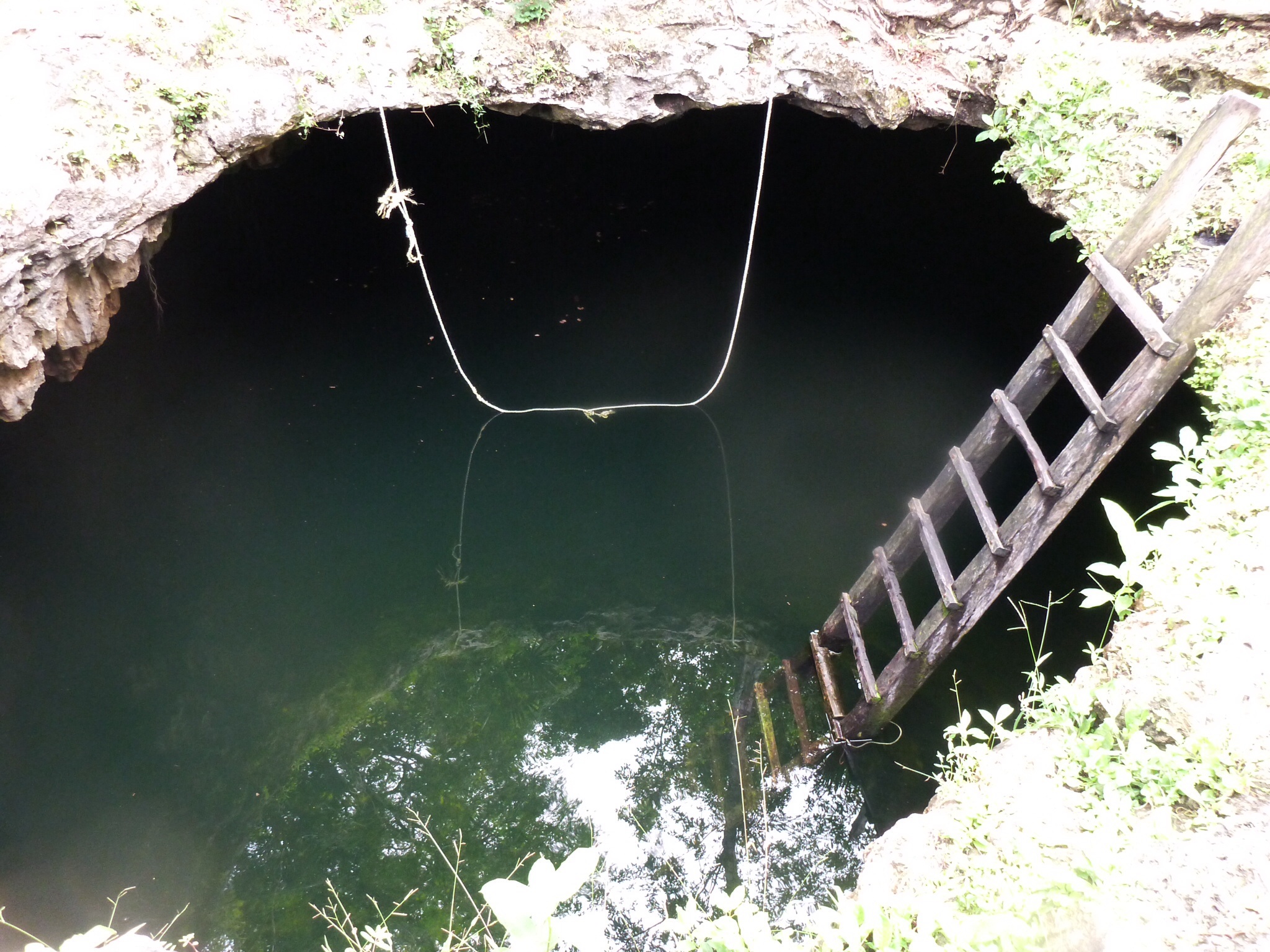 Calavera Cenote